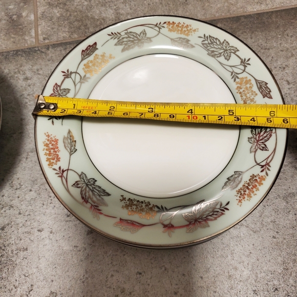 Noritake China porcelain, Silvane #5487, 5 bread & butter plates, 5 soup - Picture 10 of 13